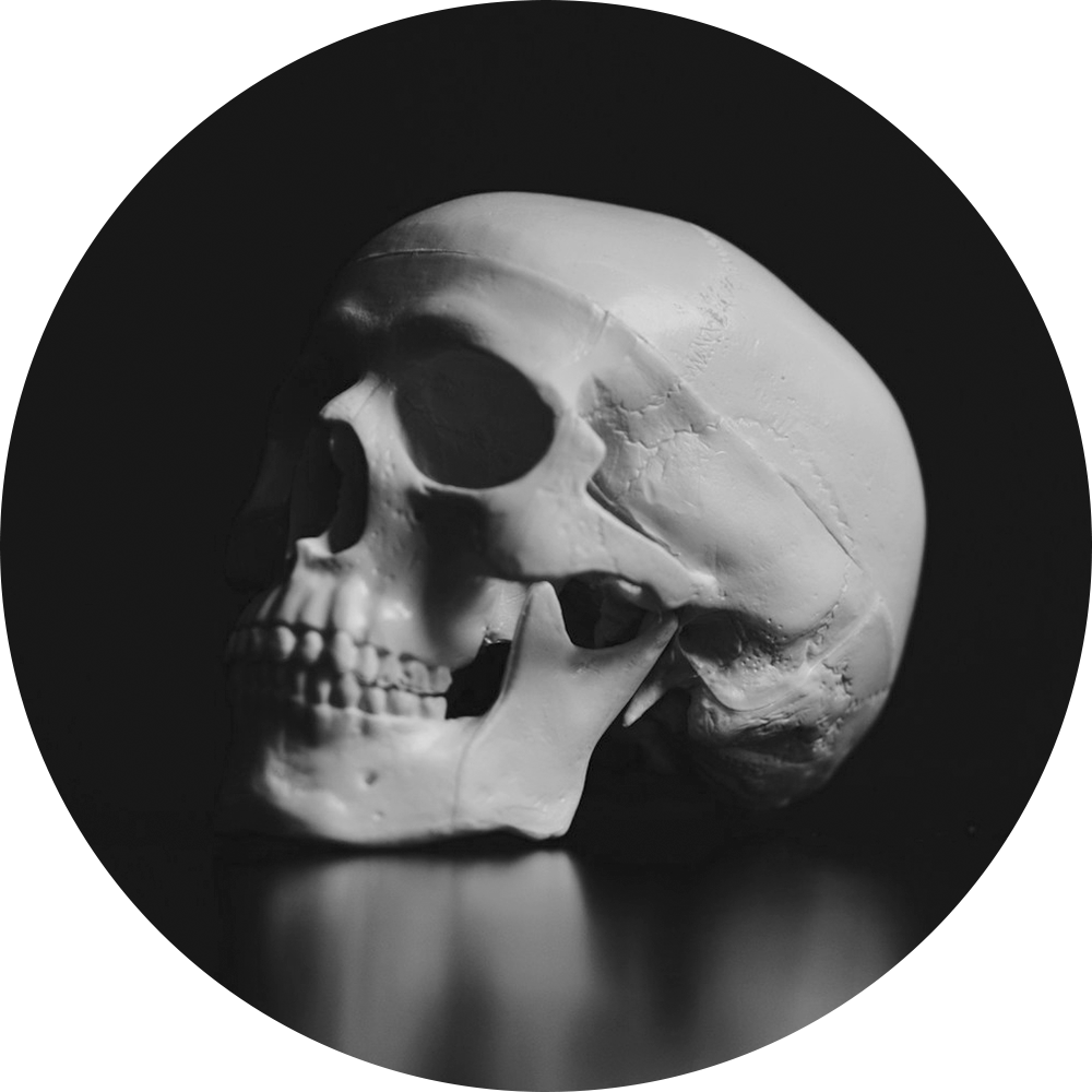 Scull